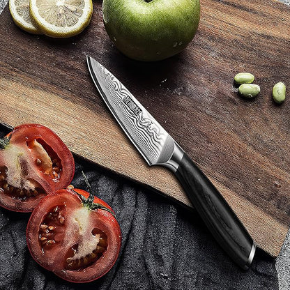 HOSHANHO Paring Knife 3.75 Inch, High Carbon Powder Steel Forged Small Kitchen Knives, Razor Sharp Japanese Fruit Knife with Ergonomic Pakkawood Handle