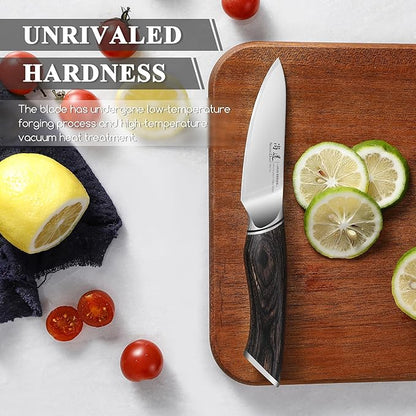 SHANGDAO 3.7 inch Paring Knife, 3 Layers VG10 Alloy Steel Fruit Vegetable Peeling Knives, Pakkawood Handle, Razor Sharp Small Kitchen Knife with Gift Box
