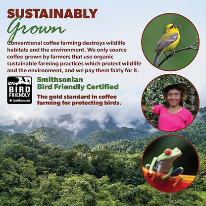 Low Acid Organic Coffee – Whole Bean, Mold-Free & Stomach Friendly by Java Planet, Guatemalan Single Origin Coffee, Medium Roast, Smooth Full Flavored, 2x1LB Bag